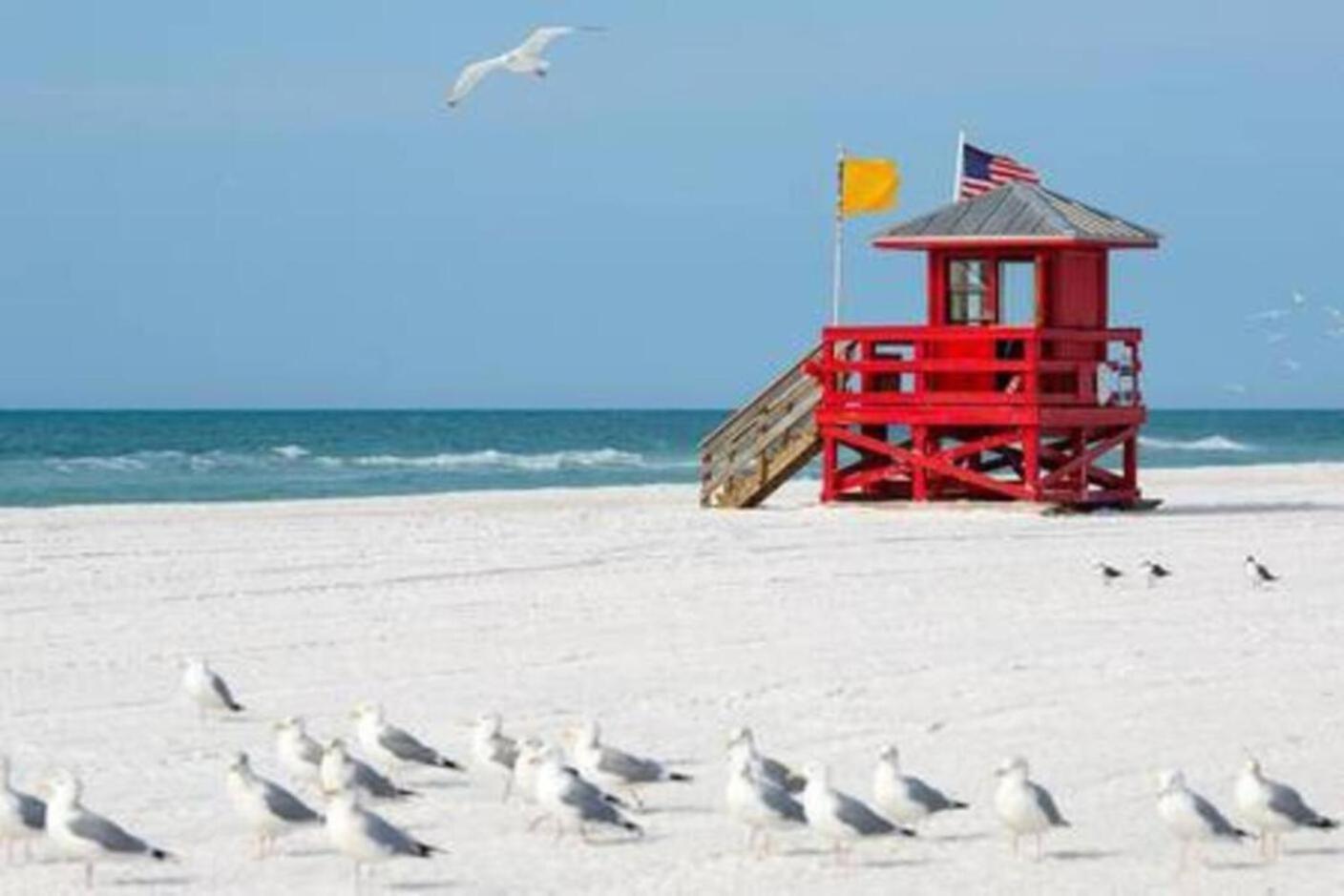 Hébergement de vacances Fantastic Island House 1 Mile To The With Heated Pool Sarasota